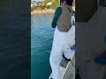 『小アジ』を落としたら『大物』が釣れる夢の島😂