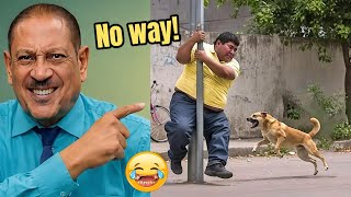 Win $250,000 If You Don't Laugh | Funniest Videos Ever In The World | Try Not To Laugh Impossible