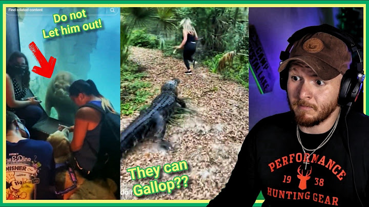 STRANGE tiktoks that will make you question reality!