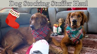 What’s Inside Our Dog’s Christmas Stocking? | Dog Treat Christmas Gifts Stocking Ideas