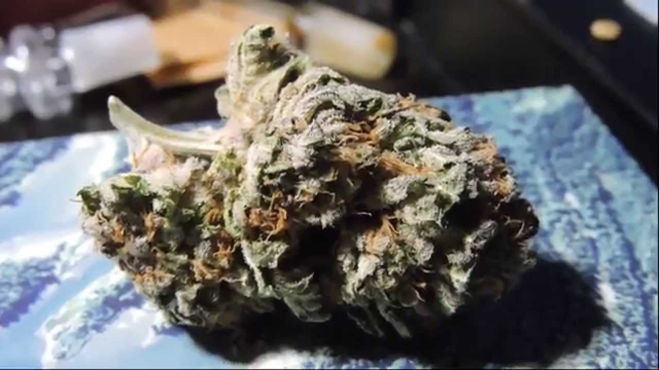 Guess The Strain? Ep.II: (Colorado MMJ Magazine)