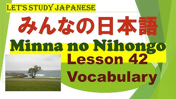 Minna no Nihongo Lesson 42 Vocabulary　みんなの日本語　第42課　ごい
