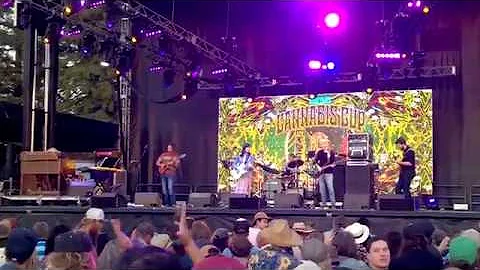 Phil Lesh + Friends - Althea