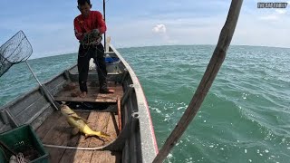 MERAWAI SEMBILANG \u0026 MENGARAU JARING KETAM DALAM HUJAN catch and cook