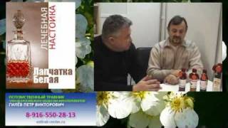 ЛЕЧЕБНАЯ НАСТОЙКА Лапчатка Белая ЛЕЧЕБНАЯ НАСТОЙКА Лапчатка Белая