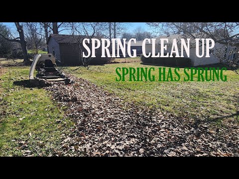 Almost Spring Clean Up Time Spring Is Here Time For Spring Lawn Clean UPs - YouTube