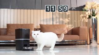 Petrust Automatic pets feeder QQ003 WiFi pet feeder