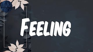 (Lyrics) Feeling - LADIPOE