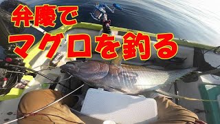 弁慶でマグロ釣り。狙うは串モン（ミニボートでマグロ）