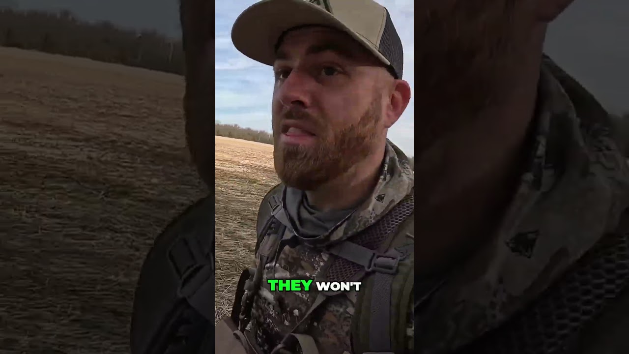 Kansas Deer Hunting: Finding a Buck in the Field! #shorts