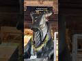 Nandi Of Lord Shiva Nandi Of Lord Shiva