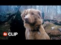 Good Boy Movie Clip - Whistle In the Woods (2025)