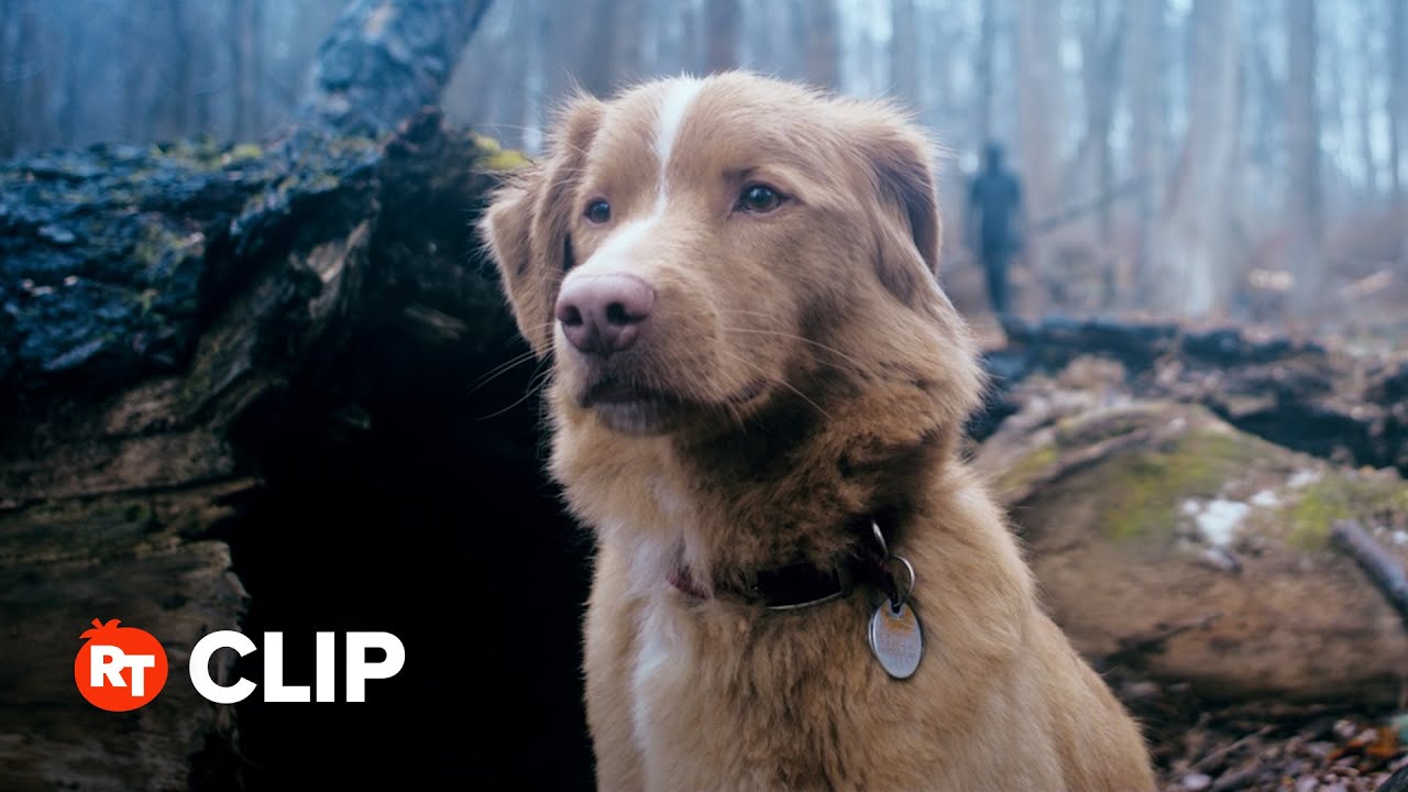 Good Boy Movie Clip - Whistle In the Woods (2025)