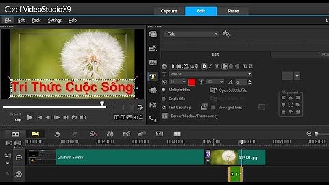 Cách Viết Tiếng Việt Trên Phần Mềm Corel Video Studio Dễ Hiểu Nhất