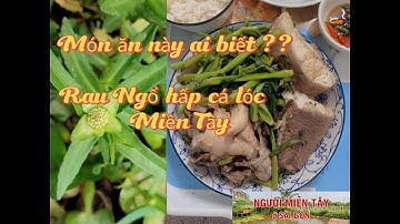 Món này bạn có biết?? Rau ngổ hấp cá lóc Miền Tây