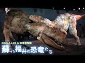 DINO-A-LIVE in 恐竜博物館 蘇った福井の恐竜たち 福井県立恐竜博物館リニューアル記念恐竜ライブショー／DINO-A-LIVE in dinosaur museum 2023 ≪4K≫