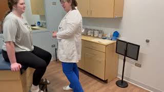 Musculoskeletal Assessment