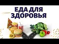 Питание для здоровья.  Энергия еды