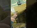 Aquarium Glass Cleaner Tool! Fast Algae Removal #aquarium #cleaning #fish