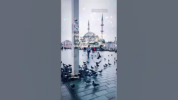 عبيدك من شتات في شتات 