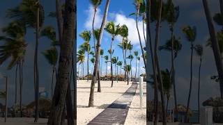 Catalonia Bavaro Beach - The views that you deserve during your next vacation! 🌴