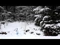 Snow is falling steadily on a snowman - a relaxing winter video