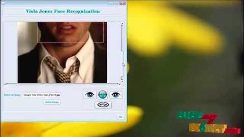 Final Year Projects 2015 | Mining Weakly Labeled Web Facial Images for Search