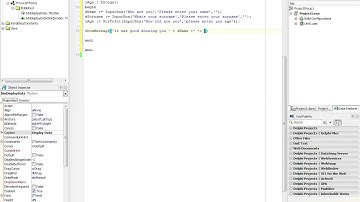 How to use InputBox Using Delphi