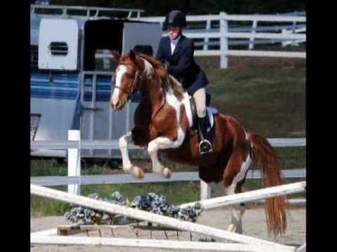 2010 Lanier Equestrian Association dvd.wmv