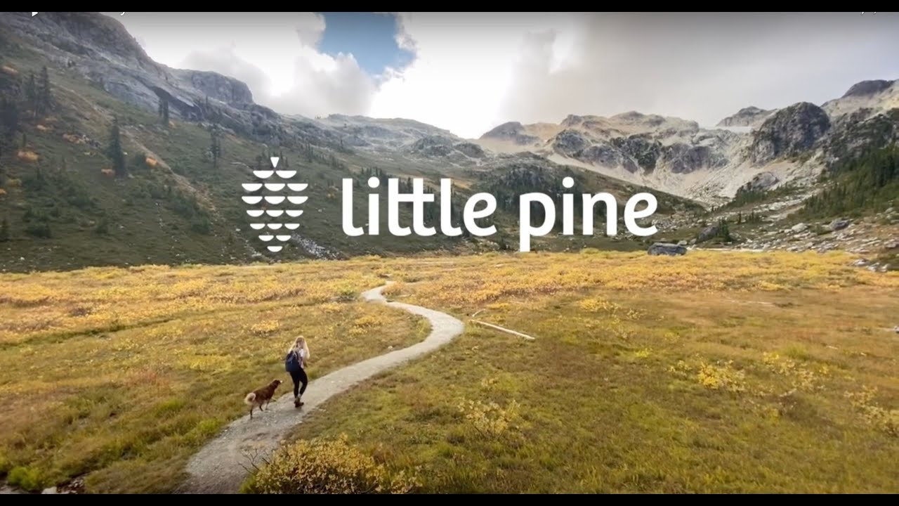 OUR STORY: THE JOURNEY OF A SUSTAINABLE AND ETHICAL PET BRAND