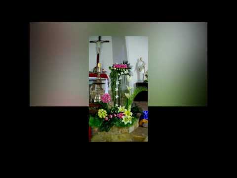 Video Cắm hoa trong phụng vụ 2016 - FMI - youtube