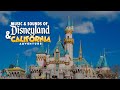 Experience the magic 10 hours of disneyland  california adventure park sights and sounds