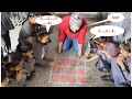 Best Children’s Day Celebration Ideas Fun Activities Mind Game | Pass the Ball | Classroom Activity