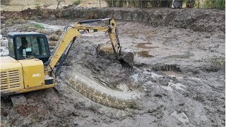废弃十几年的老鱼塘用挖掘机清理淤泥挖开泥巴后高兴坏了有野货