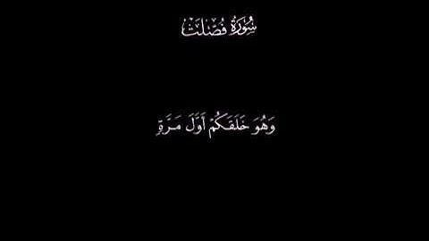 سورة فصلت / القارئ سعود الفايز / تلاوة خاشعة ومؤثرة راحة نفسية 🤎