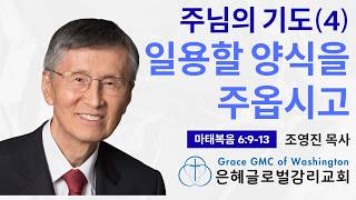 마태복음 6:9-13. 주님의 기도(4)-일용할 양식을 주옵시고. 조영진 목사