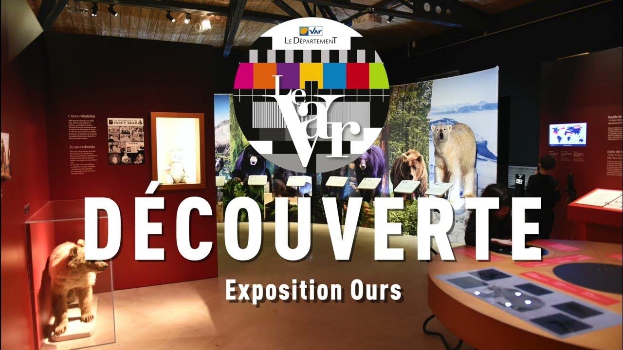 Exposition Ours au Muséum départemental du Var YouTube