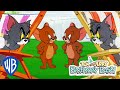 Tom \u0026 Jerry | Which Version Do You Like Better? | Classic Cartoon Compilation | WB Kids