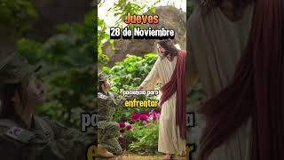 28 De Noviembre De 2024