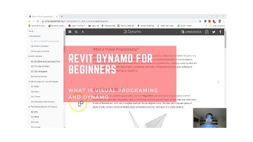 What is Visual Programming and Dynamo?