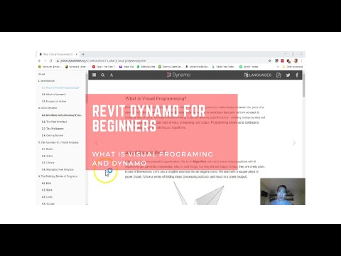 What is Visual Programming and Dynamo?