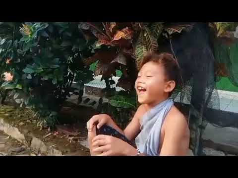 Dorman Dadi Bandar Togel | Wong edan channel