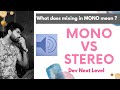 Mono vs stereo  dev next level