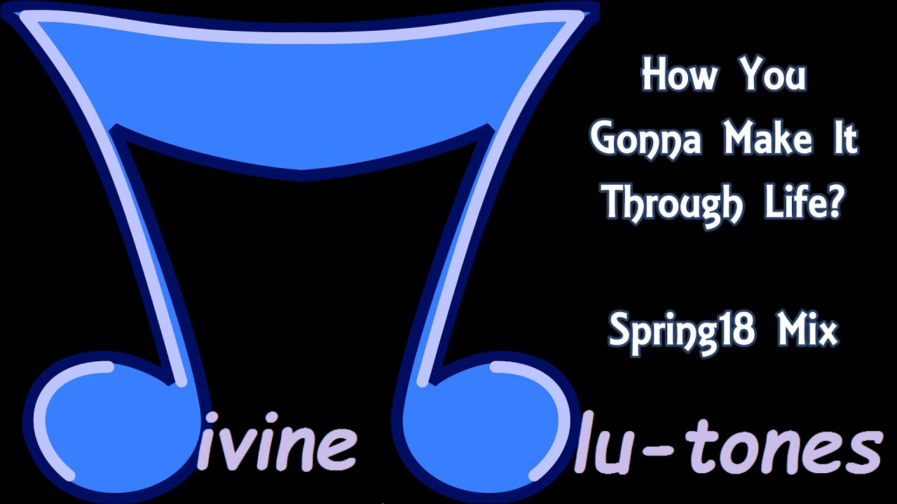 night monkey Divine blu-tones - How You Gonna Make It Through Life?