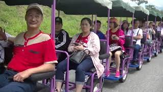 池上牧野遊園拉拉車108年4月21日安富旅遊