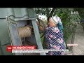 Через ремонт водогону мешканці села Колодяжне 4 місяці без води живуть без води
