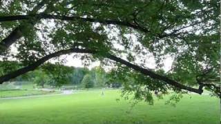 Méthode Naturelle MetNat - Training Session Example Park
