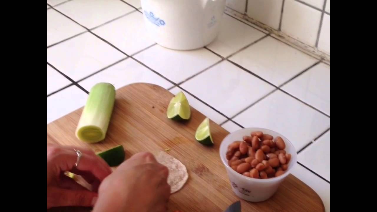 My Cat Doesn't Care About the Tiny Hamsters Eating Tiny Burritos YouTube