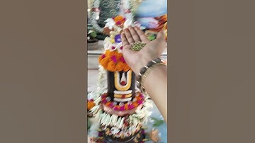 शिवलिंग पर 108 मूंग के दाने #pradeepmishraji #mhadevbhakt #shivmahapurankatha #shivling