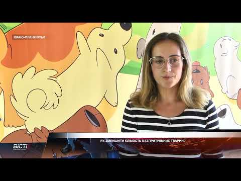 Як зменшити кількість безпритульних тварин?